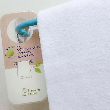 Ibis Budget Geneve Genis Pouilly Hotel